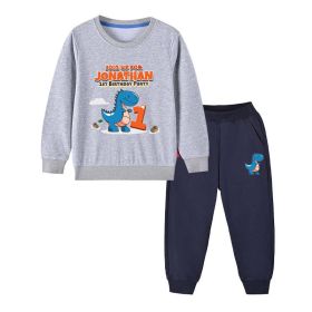 Baby Boy Cartoon Dinosaur Print Pattern Hoodie Combo Trousers Cotton 1 Pieces Sets (Color: Grey, Size/Age: 100 (2-3Y))