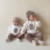 Baby Bear Embroidered Pattern Plush Hoodies Combo Pants Pieces Sets