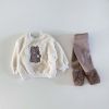 Baby Bear Embroidered Pattern Plush Hoodies Combo Pants Pieces Sets