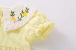 Baby Girl Floral Embroidery Design Solid Color Summer Short-Sleeved Onesies In Summer Outside Wearing